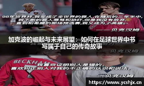 cc网投