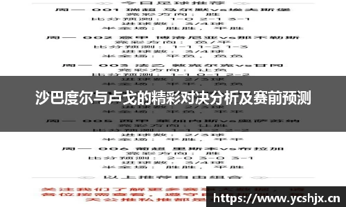 cc网投官网