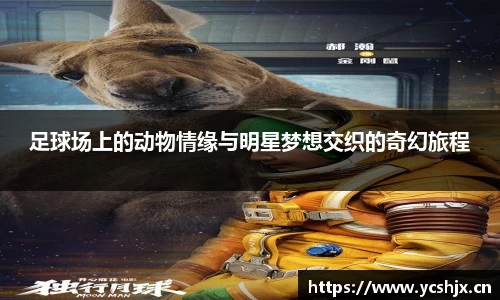 cc网投